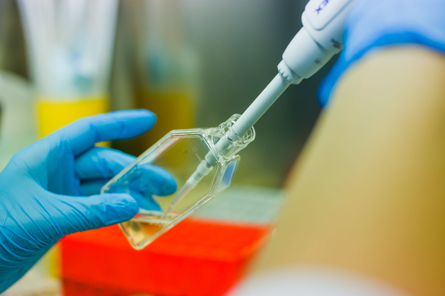 Sérum de Veau Foetal Ultra Low Endotoxine